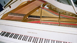 Schumann Baby Grand Schumann Baby Grand - 5ft - Stock item 100