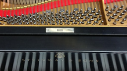 Steinway Model M Steinway Model M Stock Item 01