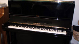 Schumann Upright Schumann Upright - Stock item 600